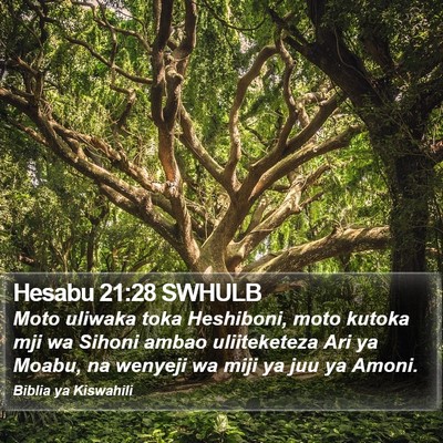 Hesabu 21:28 SWHULB Bible Verse Image