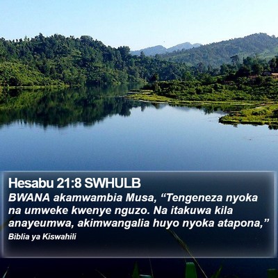 Hesabu 21:8 SWHULB Bible Verse Image