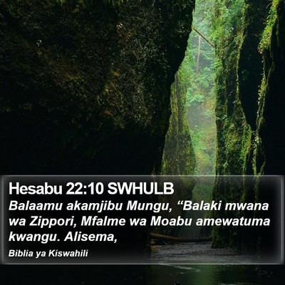 Hesabu 22:10 SWHULB Bible Verse Image