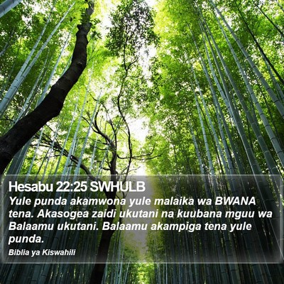 Hesabu 22:25 SWHULB Bible Verse Image