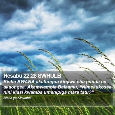 Hesabu 22:28 SWHULB Bible Verse Image