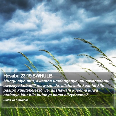 Hesabu 23:19 SWHULB Bible Verse Image