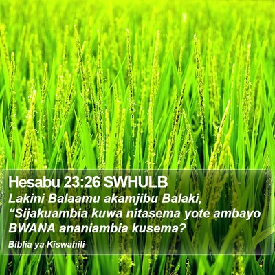Hesabu 23:26 SWHULB Bible Verse Image
