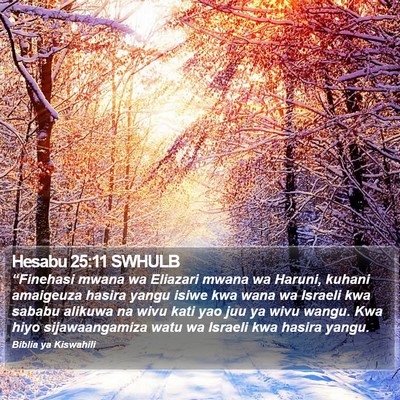 Hesabu 25:11 SWHULB Bible Verse Image