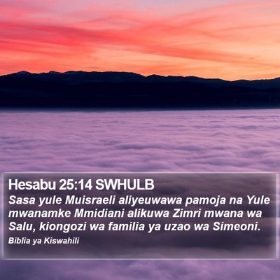 Hesabu 25:14 SWHULB Bible Verse Image