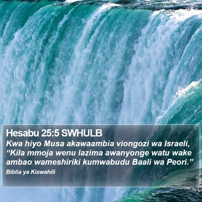 Hesabu 25:5 SWHULB Bible Verse Image