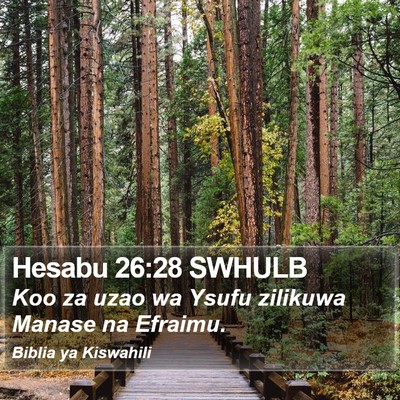 Hesabu 26:28 SWHULB Bible Verse Image
