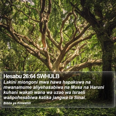 Hesabu 26:64 SWHULB Bible Verse Image