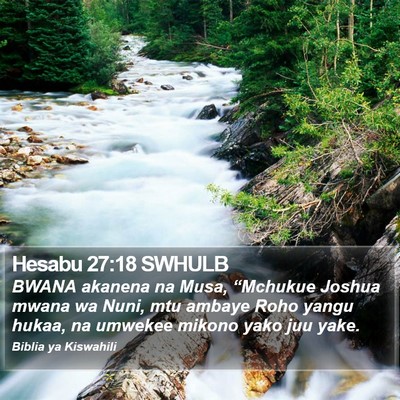 Hesabu 27:18 SWHULB Bible Verse Image