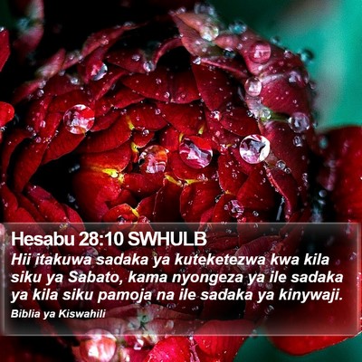 Hesabu 28:10 SWHULB Bible Verse Image