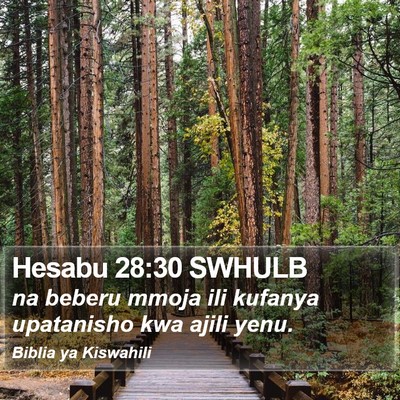 Hesabu 28:30 SWHULB Bible Verse Image