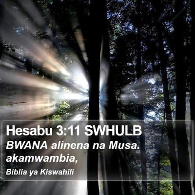 Hesabu 3:11 SWHULB Bible Verse Image
