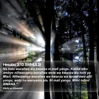 Hesabu 3:13 SWHULB Bible Verse Image