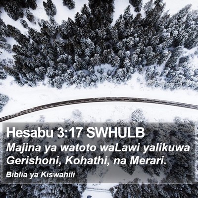 Hesabu 3:17 SWHULB Bible Verse Image