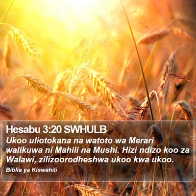 Hesabu 3:20 SWHULB Bible Verse Image