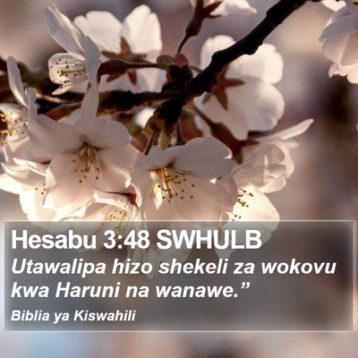 Hesabu 3:48 SWHULB Bible Verse Image