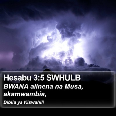 Hesabu 3:5 SWHULB Bible Verse Image