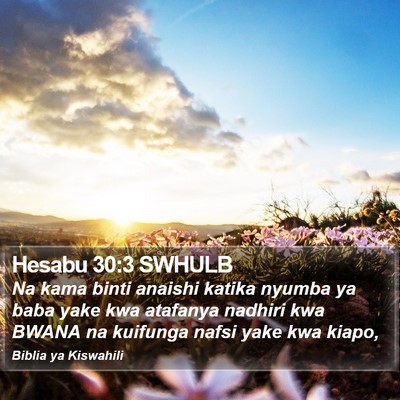Hesabu 30:3 SWHULB Bible Verse Image