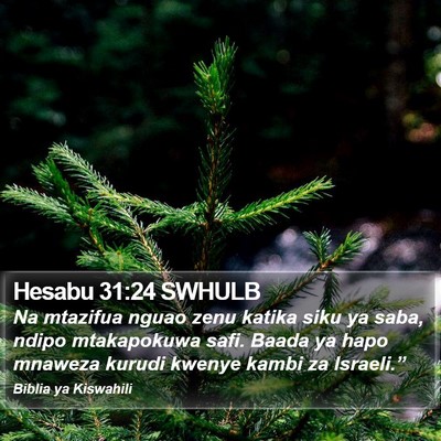 Hesabu 31:24 SWHULB Bible Verse Image