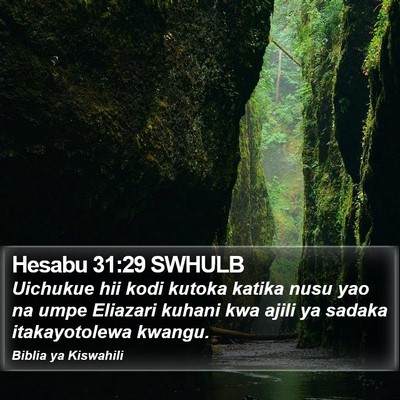 Hesabu 31:29 SWHULB Bible Verse Image