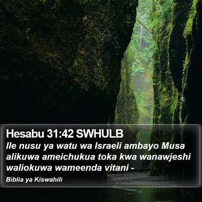 Hesabu 31:42 SWHULB Bible Verse Image