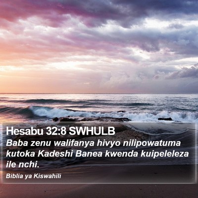 Hesabu 32:8 SWHULB Bible Verse Image