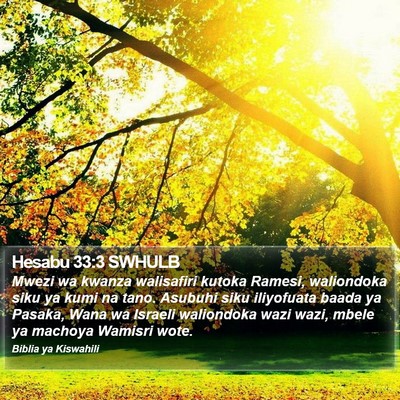 Hesabu 33:3 SWHULB Bible Verse Image