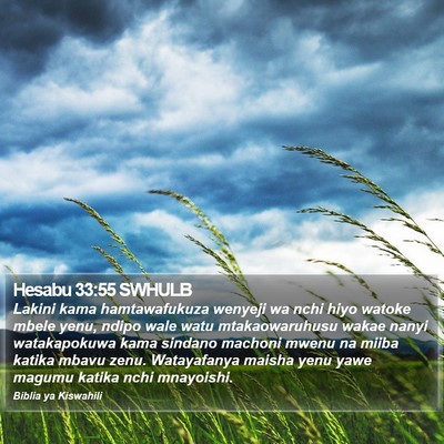 Hesabu 33:55 SWHULB Bible Verse Image