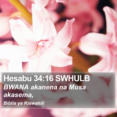 Hesabu 34:16 SWHULB Bible Verse Image