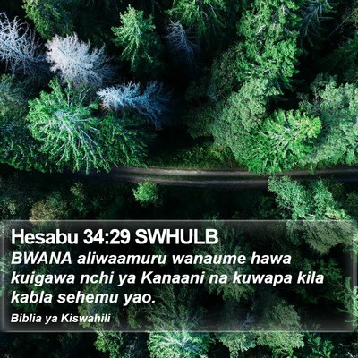 Hesabu 34:29 SWHULB Bible Verse Image