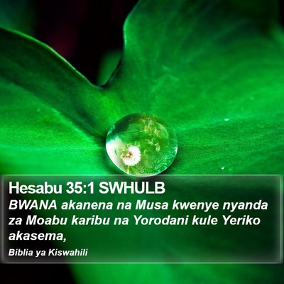 Hesabu 35:1 SWHULB Bible Verse Image