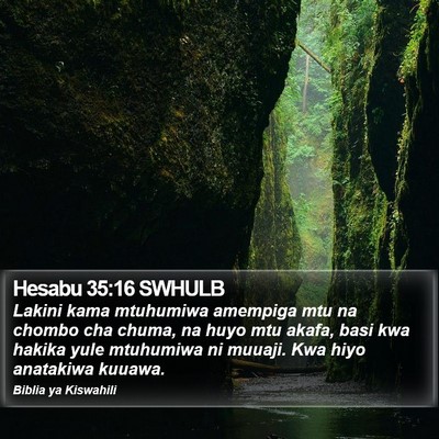 Hesabu 35:16 SWHULB Bible Verse Image