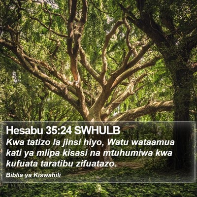 Hesabu 35:24 SWHULB Bible Verse Image