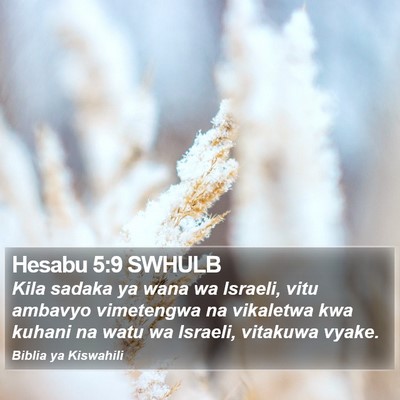 Hesabu 5:9 SWHULB Bible Verse Image