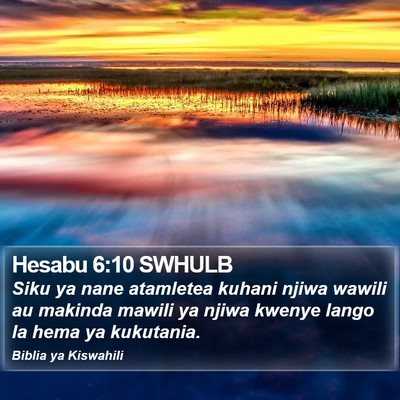 Hesabu 6:10 SWHULB Bible Verse Image