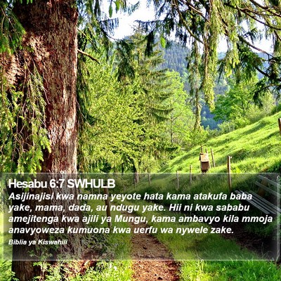 Hesabu 6:7 SWHULB Bible Verse Image
