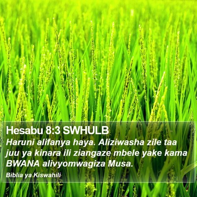 Hesabu 8:3 SWHULB Bible Verse Image