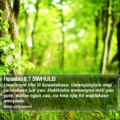 Hesabu 8:7 SWHULB Bible Verse Image
