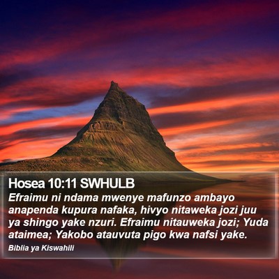 Hosea 10:11 SWHULB Bible Verse Image