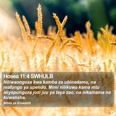 Hosea 11:4 SWHULB Bible Verse Image