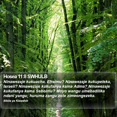 Hosea 11:8 SWHULB Bible Verse Image