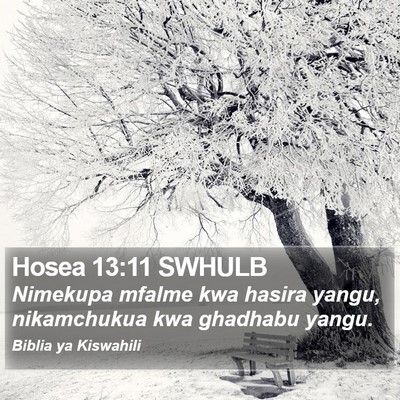 Hosea 13:11 SWHULB Bible Verse Image
