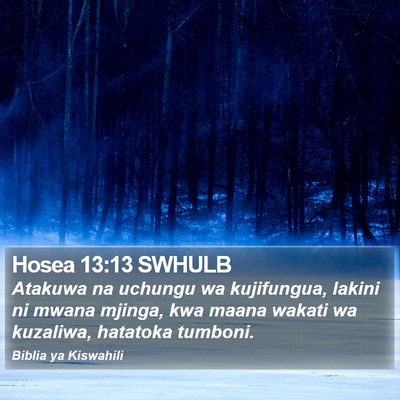 Hosea 13:13 SWHULB Bible Verse Image
