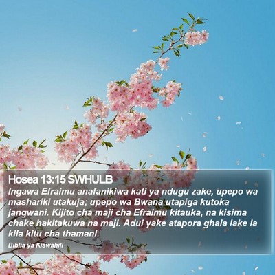 Hosea 13:15 SWHULB Bible Verse Image