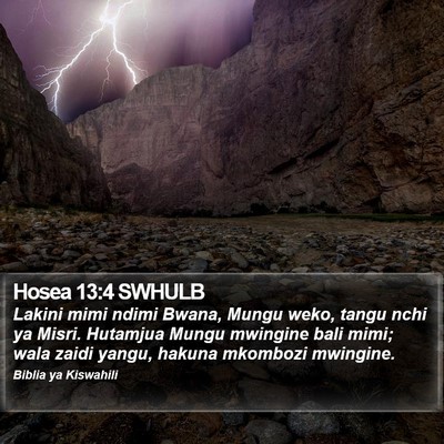 Hosea 13:4 SWHULB Bible Verse Image