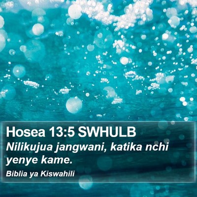 Hosea 13:5 SWHULB Bible Verse Image