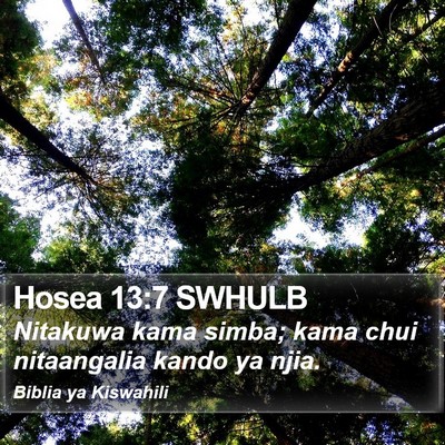 Hosea 13:7 SWHULB Bible Verse Image
