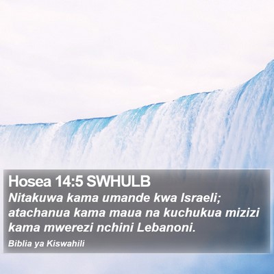 Hosea 14:5 SWHULB Bible Verse Image
