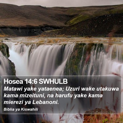 Hosea 14:6 SWHULB Bible Verse Image