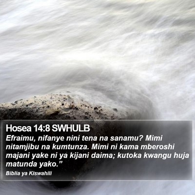 Hosea 14:8 SWHULB Bible Verse Image